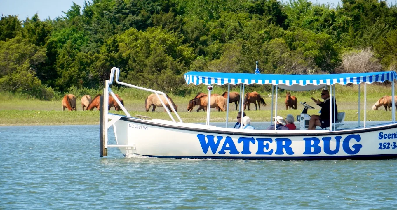 Things To Do Waterbug Tours